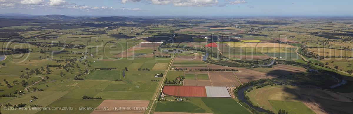 Peter Bellingham Photography Lindenow - VIC (PBH4 00 10978)